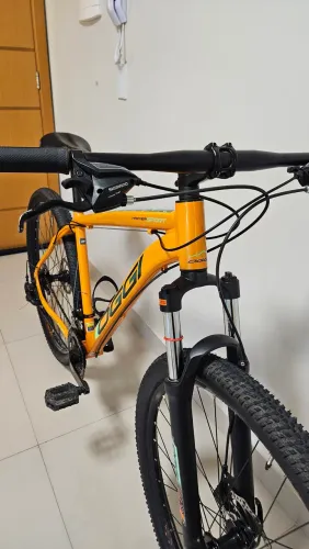 Bike Oggi aro 29 T19