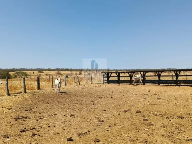 Terreno para Venda em Riachão das Neves, (Monte Gordo)
