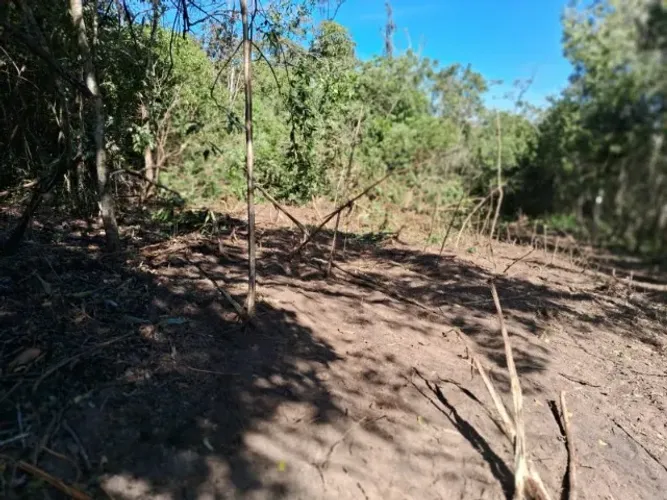 Chacára 2000mt em Bonfinópolis 7km da Cidade