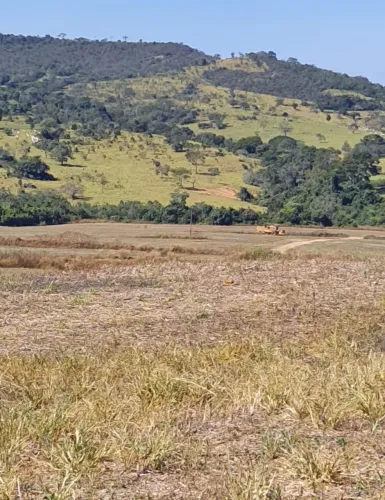 Vende -se fazenda dupla aptidão no município de Corumbá 