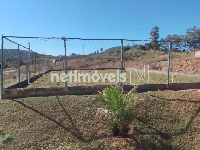 Venda Chácara Fazenda Terra Fértil Mateus Leme