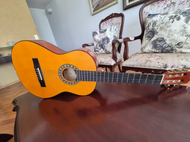 Violão Michael VM20 Acústico - Ótimo Estado