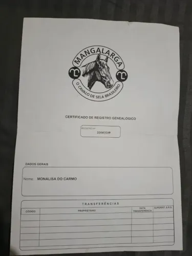 Égua Manga Larga Paulista