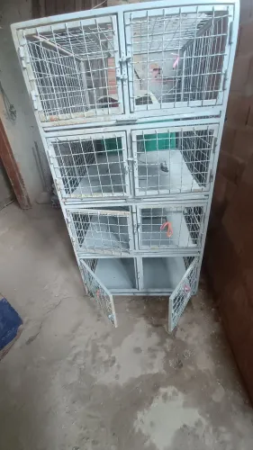 Gaiola para pet 