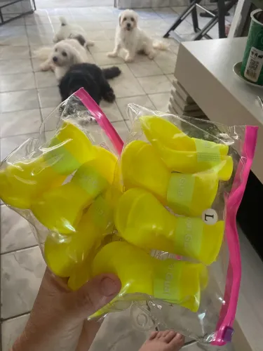Para patas