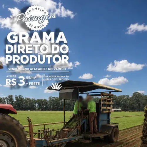 Grama Esmeralda