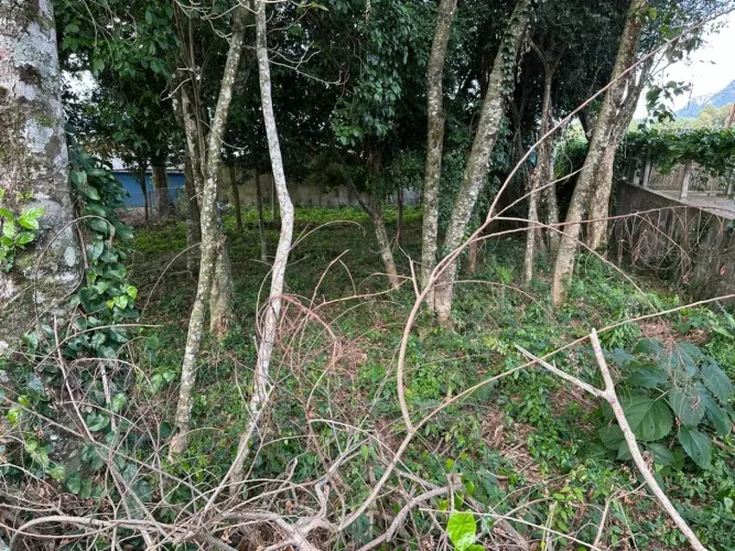 Terreno à venda em Gramado - Pronto para construir!