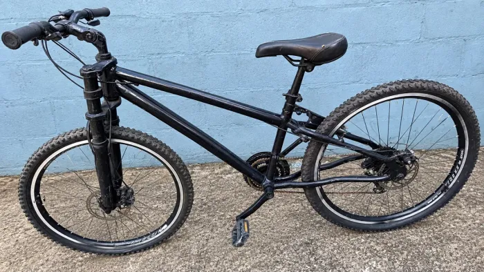 Bicicleta adulto 