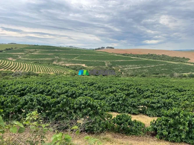 FAZENDA À VENDA - 203 HECTARES - PIUMHI (MG)
