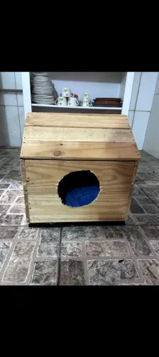 Casinha de gato