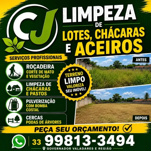 Limpeza lotes. Chácara