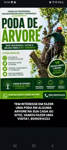 Poda de árvores, corte, demolição e limpeza de terreno.