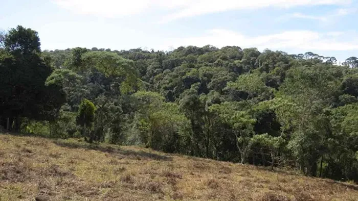Área à venda, 96800 m² por R$ 1.250.000,00 - Bairro Sertão do Cantagalo - Gonçalves/MG