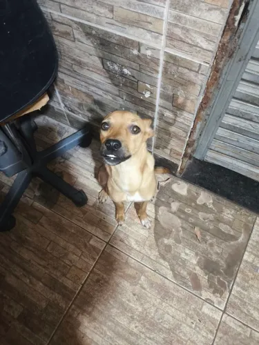 Doação