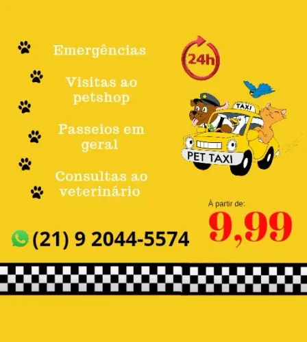 Taxi dog transporte animal pet taxi