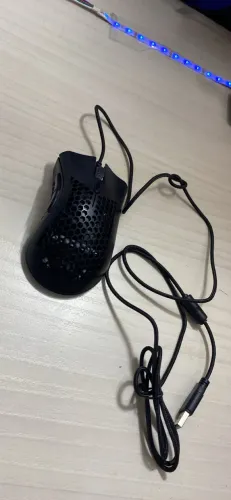 Mouse 