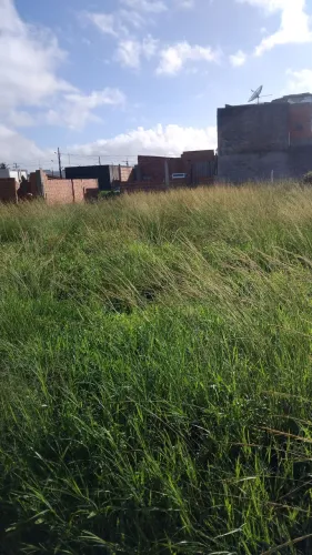 Terreno 6x25
