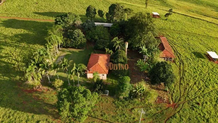 Sítio Produtivo de 12 Alqueires em Itapetininga/SP Porteira Fechada