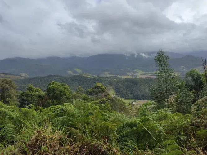 Terreno no Rio duna