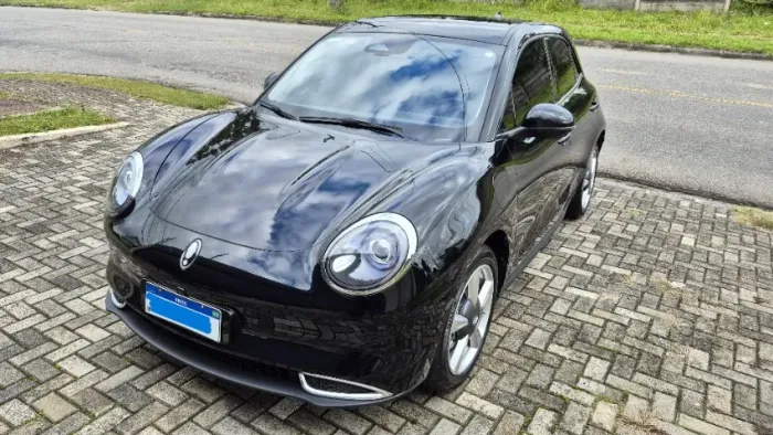GWM Ora 03 Skin (elétrico) 2024