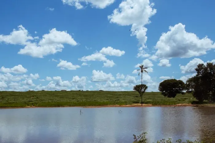 Fazenda Com preço de sitio /Area 162 Alqueires ...2.430.000.00 Aceita imóveis e veículo...