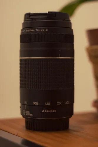 Canon EF 75-300mm f/4-5.6 III - Excelente Estado