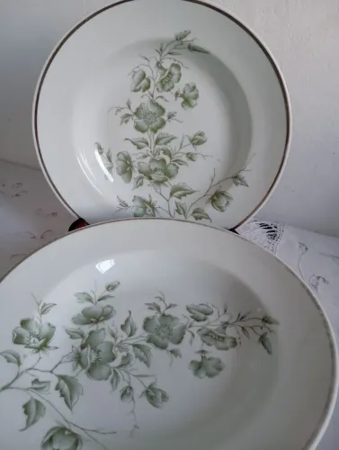 Vendo cinco pratos fundos de refeição porcelana Schmidt a fio de prata sem uso