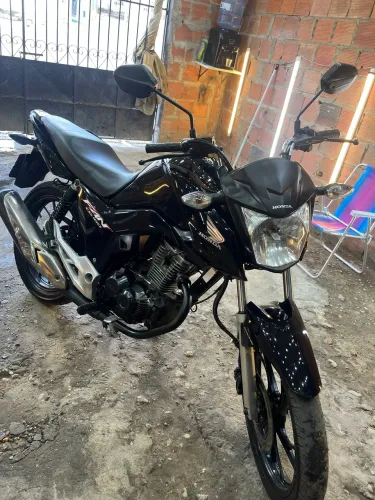 VENDO CG FAN 2019
