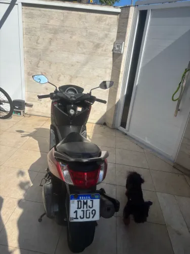 N Max raridade