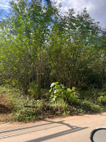 Lote em Moxuara