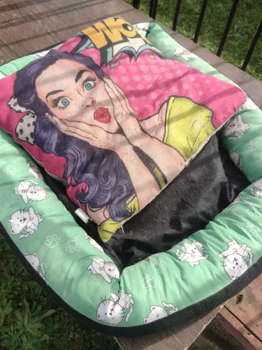 Caminha para pet