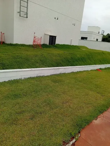 Gramas verdes e bem cuidada,venha fazer seu orçamento conosco!