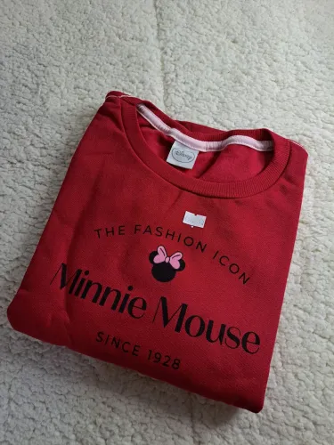 Moletom Minnie Disney (nova)