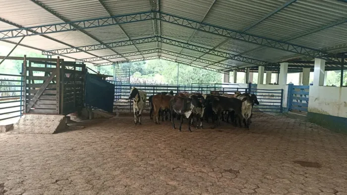 Fazenda Rica em Água - Excelente para Gado de Corte em Paraibuna, SP - SEU FUTURO EMPREEND