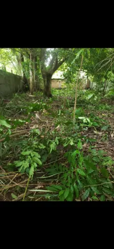 Terreno na Praia do Paraíso