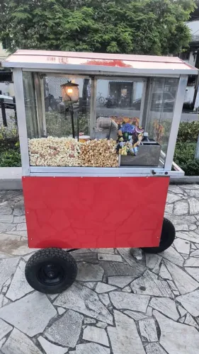 Vendo barraca de pipoca...completa pronta pra trabalhar...