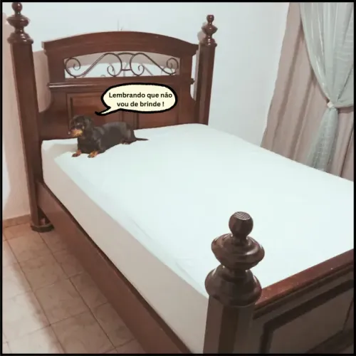 Cama de  Casal Rustica Bem Conservado( Colchão de Brinde)
