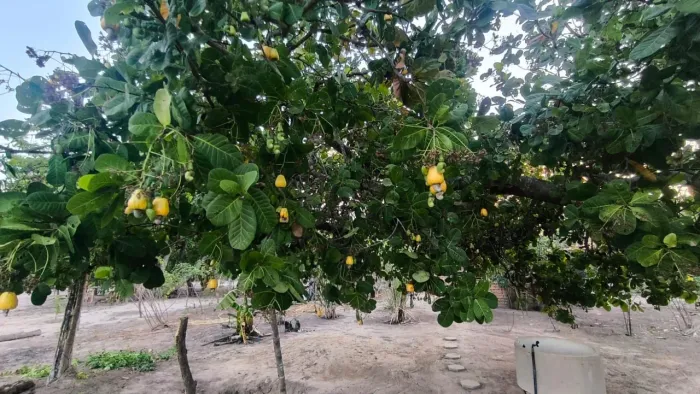 Vendo sitio