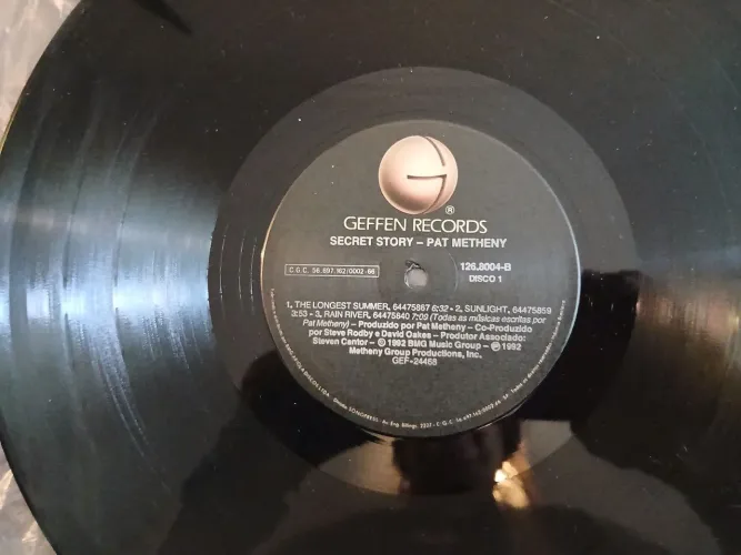 Gerente Records Secret Story - Patrícia Metheny