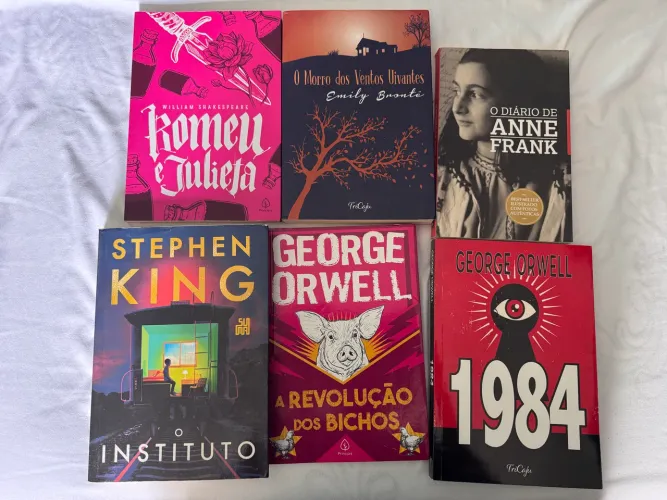 Combo de livros clássicos e populares - Anne Frank, Stephen King, Orwell?