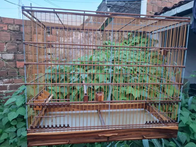 Gaiola de Jacarandar Violeta 