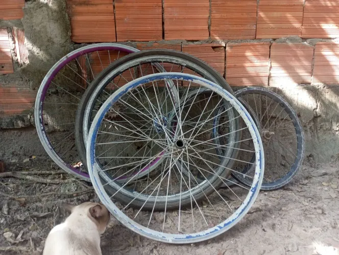 5 calhas de bicicleta, tem aro 20 aro 26 aro 24
