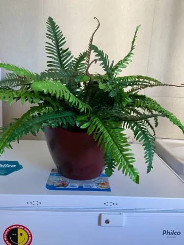 Vaso com planta artificial