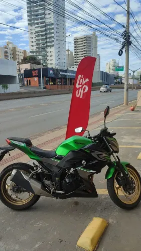 Z300 2018 Limited Edition