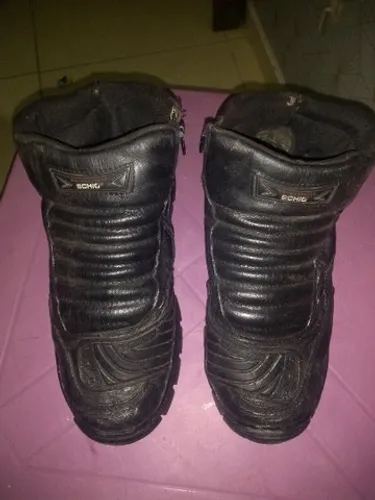 Bota