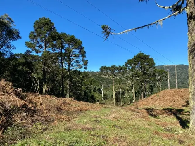 Chácara frente Asfalto em Urubici