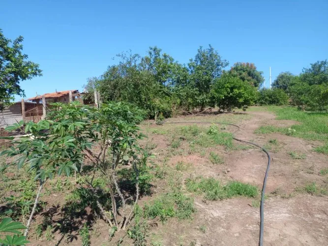 Sítio à venda, 3 quartos, Bairro dos Pires - Limeira/SP