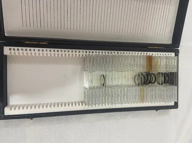 Lâminas Microscópio Coleção Botânica Criptógamas 
