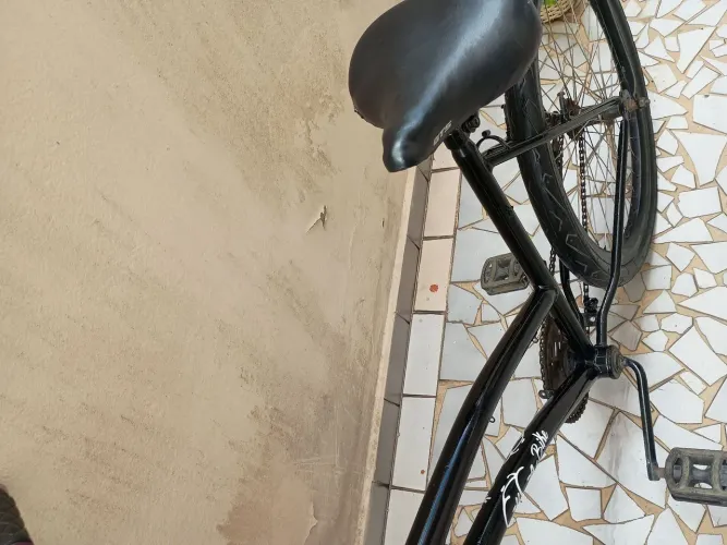 Bicicleta Poti aro 26 folha VMax cubo de rolamento  raios de inox 
