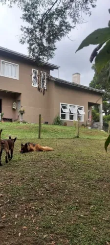 Chácara em Colombo 200 metros da estrada da Ribeira com sobrado, canil para cachorro